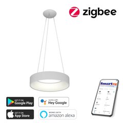 Gudra griestu lampa 60cm 39W white Zigbee cena un informācija | Griestu lampas | 220.lv