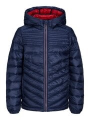 Jack & Jones детская куртка 100г. 12212568*03, тёмно-синий цена и информация | Куртки для мальчиков | 220.lv