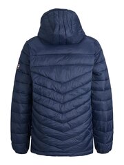 Jack & Jones детская куртка 100г. 12212568*01, черный цена и информация | Куртки для мальчиков | 220.lv