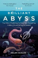 Brilliant Abyss: True Tales of Exploring the Deep Sea, Discovering Hidden Life and Selling the Seabed цена и информация | Развивающие книги | 220.lv