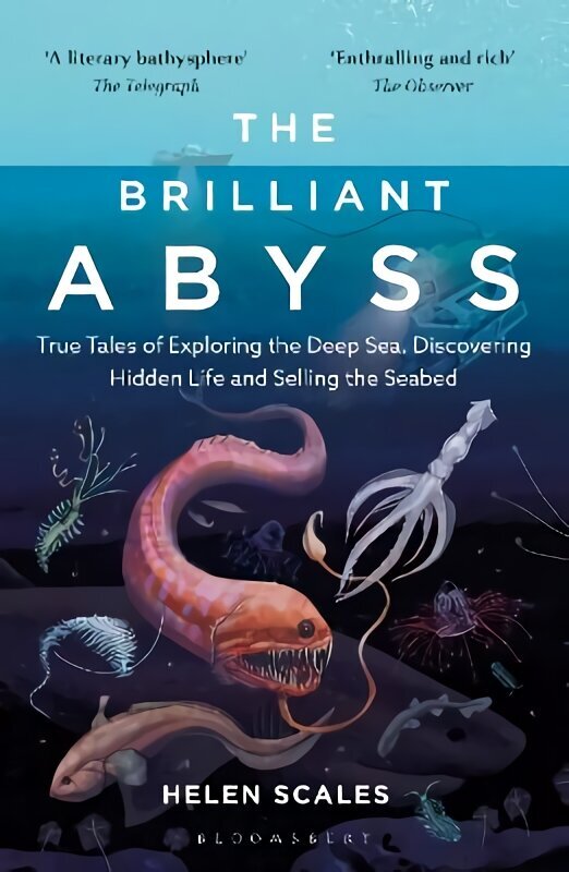 Brilliant Abyss: True Tales of Exploring the Deep Sea, Discovering Hidden Life and Selling the Seabed cena un informācija | Izglītojošas grāmatas | 220.lv