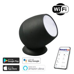 Светодиодная декоративная RGB-подсветка (Wi-Fi) цена и информация | Настольные светильники | 220.lv