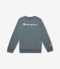 Champion детская толстовка 305360*ES017, серый 8054112596885 цена и информация | Свитеры, жилетки, пиджаки для мальчиков | 220.lv