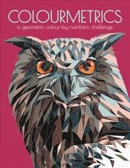 Colourmetrics: A Geometric Colour by Numbers Challenge цена и информация | Книги для самых маленьких | 220.lv