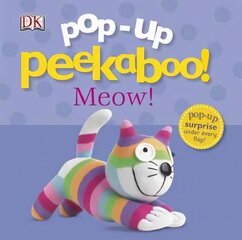 Pop-Up Peekaboo! Kitten cena un informācija | Grāmatas mazuļiem | 220.lv