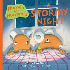 Marvin and Marigold: A Stormy Night cena un informācija | Grāmatas mazuļiem | 220.lv