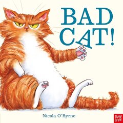 Bad Cat! cena un informācija | Grāmatas mazuļiem | 220.lv