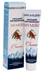 Крем-бальзам Elixir «Мумие Облепиха», 40 мл цена и информация | Кремы, лосьоны для тела | 220.lv