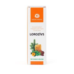 Lorozivs spray, 20 g cena un informācija | Medicīniskā aprūpe | 220.lv