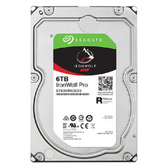 Seagate ST6000NT001 3,5" 6 TB цена и информация | Внутренние жёсткие диски (HDD, SSD, Hybrid) | 220.lv