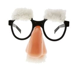 Карнавальные очки с носом HC13715 цена и информация | Карнавальные костюмы, парики и маски | 220.lv