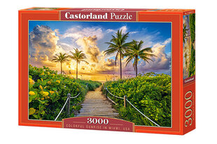 Пазл Castorland Puzzle Colorful Sunrise in Miami,USA 3000 д. цена и информация | Пазлы | 220.lv