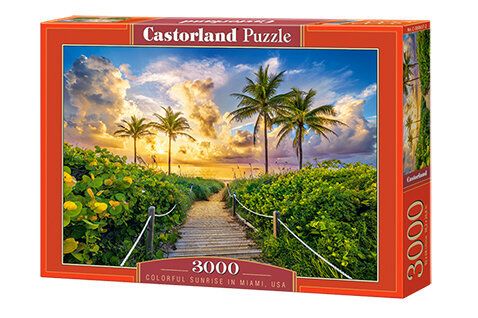 Castorland puzle Colorful Sunrise in Miami,USA 3000 det. cena un informācija | Puzles, 3D puzles | 220.lv