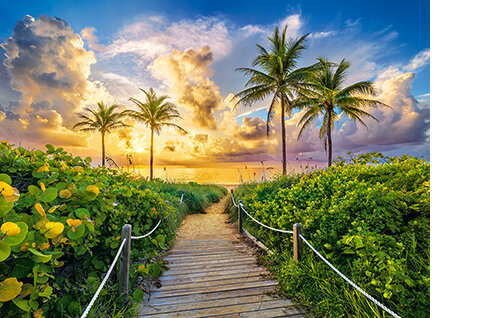 Castorland puzle Colorful Sunrise in Miami,USA 3000 det. cena un informācija | Puzles, 3D puzles | 220.lv
