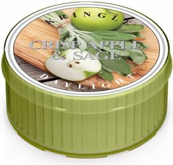 Ароматическая свеча Kringle Candle, 35 г цена и информация | Подсвечники, свечи | 220.lv