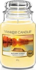 Ароматическая свеча Yankee Candle, 623 г цена и информация | Подсвечники, свечи | 220.lv