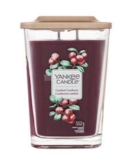 Yankee Candle Candied Cranberry домашняя свеча цена и информация | Подсвечники, свечи | 220.lv