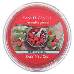 Yankee Candle Red Raspberry Scenterpiece Easy MeltCup - raspberry wax 61.0 g cena un informācija | Sveces un svečturi | 220.lv