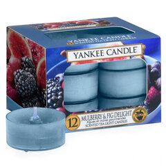 Свеча Yankee Candle Mulberry & Fig Delight (ароматические чайные свечи), 12 шт, 9.8 гр цена и информация | Подсвечники, свечи | 220.lv