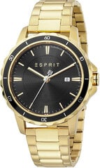 Часы мужские Esprit ES1G207M0075 цена и информация | Мужские часы | 220.lv