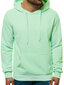 J.Style Džemperi Fleece Mint 68B2009-61 68B2009-61/M cena un informācija | Vīriešu jakas | 220.lv