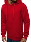 J.Style Džemperi Fleece Red 68B2009-18 68B2009-18/M цена и информация | Vīriešu jakas | 220.lv