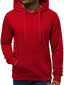 J.Style Džemperi Fleece Red 68B2009-18 68B2009-18/M cena un informācija | Vīriešu jakas | 220.lv