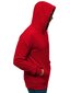 J.Style Džemperi Fleece Red 68B2009-18 68B2009-18/M цена и информация | Vīriešu jakas | 220.lv