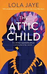 Attic Child цена и информация | Романы | 220.lv