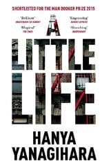 Little Life цена и информация | Фантастика, фэнтези | 220.lv