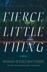 Fierce Little Thing: A Novel цена и информация | Фантастика, фэнтези | 220.lv