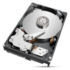 Seagate ST2000NT001 цена и информация | Внутренние жёсткие диски (HDD, SSD, Hybrid) | 220.lv