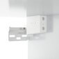 vidaXL vannasistabas spoguļskapītis, spīdīgi balts, 64x20x67 cm cena un informācija | Vannas istabas skapīši | 220.lv