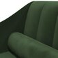 Divvietīga dīvāngulta, tumši zaļa, samta cena un informācija | Dīvāni | 220.lv