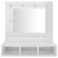 Spoguļskapis ar led, balts, 60x31,5x62cm, spīdīgs cena un informācija | Vannas istabas skapīši | 220.lv