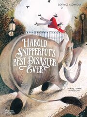 Harold Snipperpot's Best Disaster Ever цена и информация | Книги для самых маленьких | 220.lv