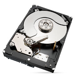 Жесткий диск Seagate ST4000NT001 3,5&quot; 4 Тб цена и информация | Внутренние жёсткие диски (HDD, SSD, Hybrid) | 220.lv