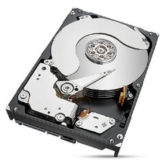 Seagate ST8000NT001 цена и информация | Внутренние жёсткие диски (HDD, SSD, Hybrid) | 220.lv