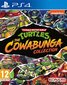 Teenage Mutant Ninja Turtles: The Cowabunga Collection цена и информация | Datorspēles | 220.lv