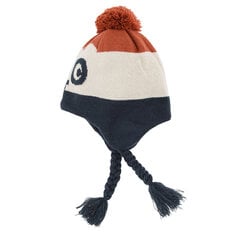 Cool Club шапка для мальчиков, CAB2531432 цена и информация | Зимняя одежда для детей | 220.lv
