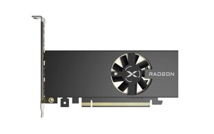 XFX Gaming Graphics Card RX-64XL4SFG2 AMD cena un informācija | Videokartes (GPU) | 220.lv