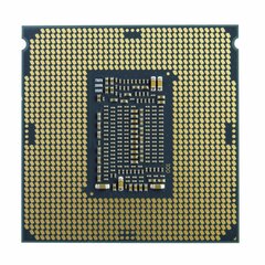 Intel Процессор Xeon E-2224 BOX BX80684E2224 цена и информация | Процессоры (CPU) | 220.lv