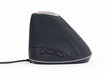 MOUSE USB OPTICAL SPACEGREY/ERGONOMIC MUS-ERGO-03 GEMBIRD cena un informācija | Peles | 220.lv