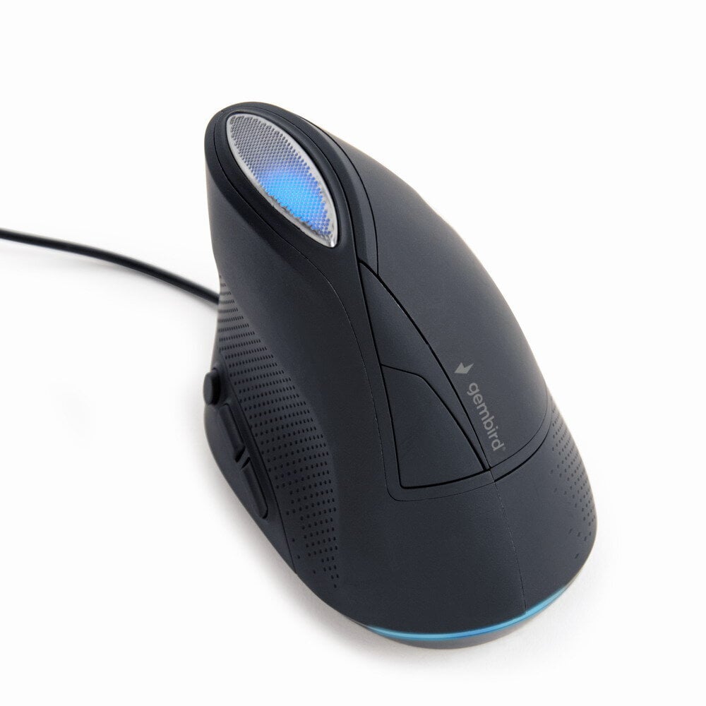 MOUSE USB OPTICAL SPACEGREY/ERGONOMIC MUS-ERGO-03 GEMBIRD цена и информация | Peles | 220.lv