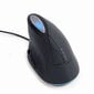 MOUSE USB OPTICAL SPACEGREY/ERGONOMIC MUS-ERGO-03 GEMBIRD cena un informācija | Peles | 220.lv