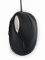 MOUSE USB OPTICAL SPACEGREY/ERGONOMIC MUS-ERGO-03 GEMBIRD cena un informācija | Peles | 220.lv