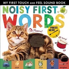 Noisy First Words: My First Touch and Feel Sound Book cena un informācija | Grāmatas mazuļiem | 220.lv
