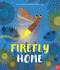 Firefly Home цена и информация | Книги для самых маленьких | 220.lv