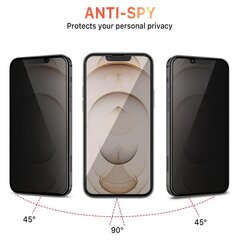 Защитное стекло Anti-Spy для экрана iPhone 14 Pro Max (6,7") цена и информация | Защитные пленки для телефонов | 220.lv