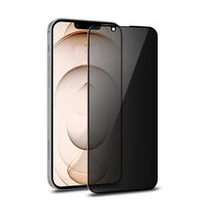Anti-Spy Aizsargstikls (10D) priekš iPhone 14 Pro Max (6,7") cena un informācija | Ekrāna aizsargstikli | 220.lv